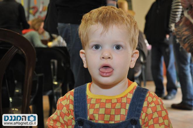 תמונה גדולה